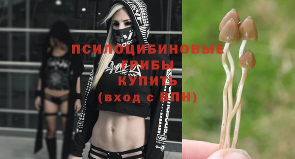 a pvp Балабаново